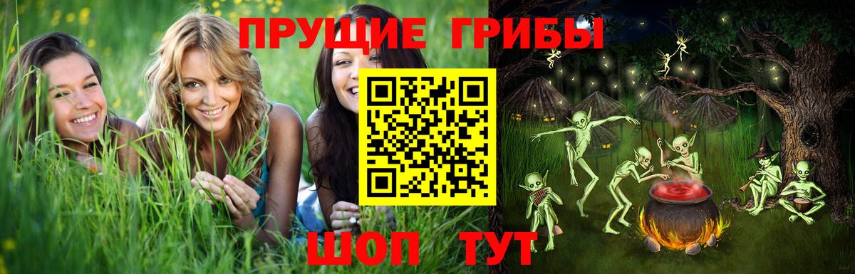 Сергиев Посад  Псилоцибиновые грибы Magic Shrooms  Вход с VPN 